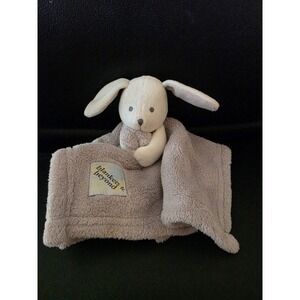 Blankets & Beyond 2-In-One Set Gray Bunny Lovey Pink Plush Baby Security Blanket
